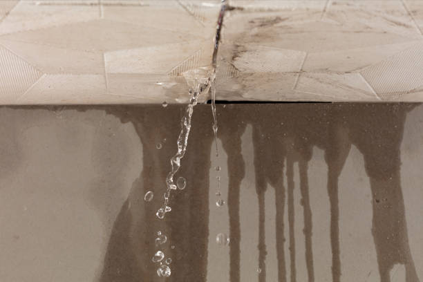 Professional Structural Drying technician working in San Fernando, CA